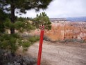 UT2009-Bryce-8453 