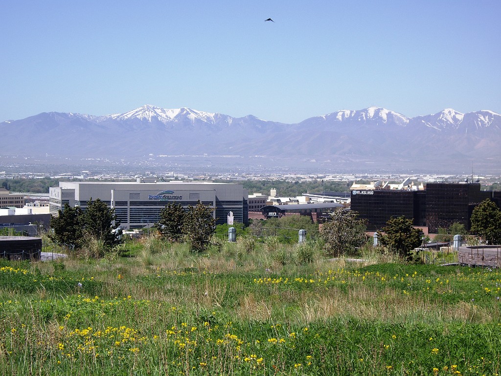 UT2009-SLC-8206