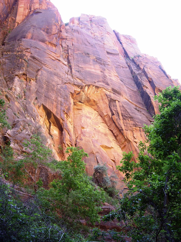 UT2009-Zion-8312