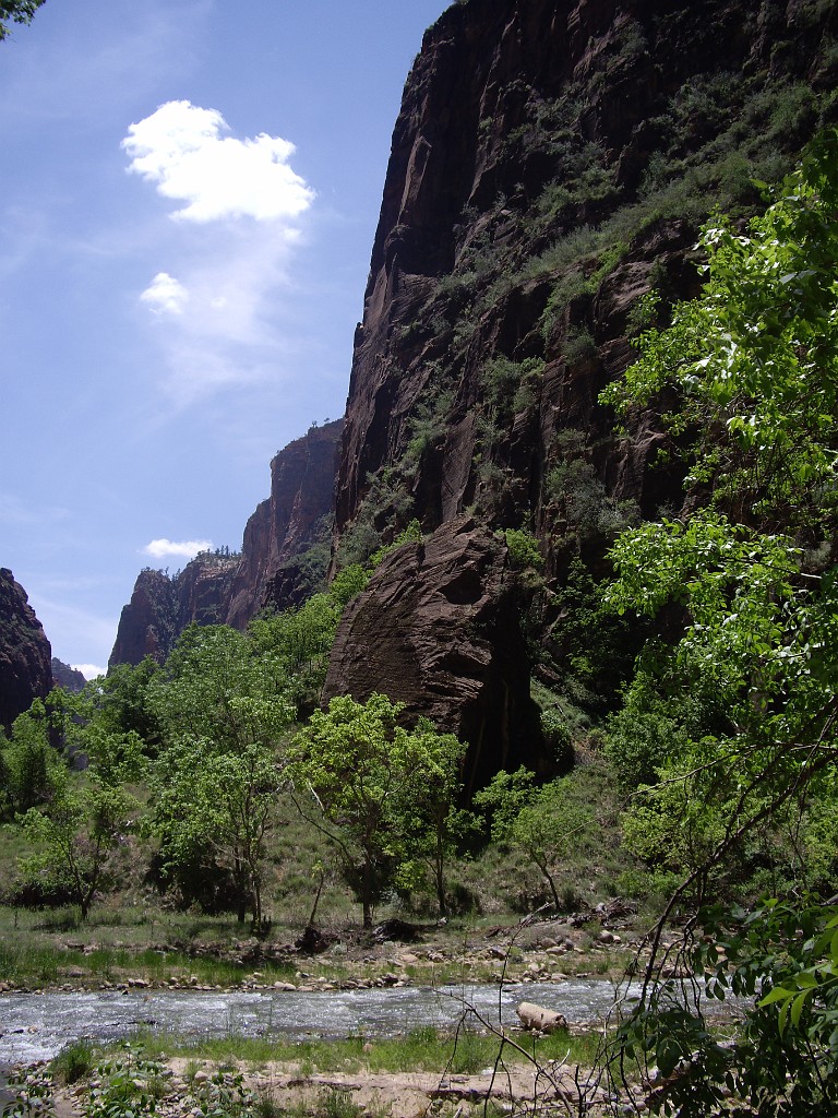 UT2009-Zion-8322