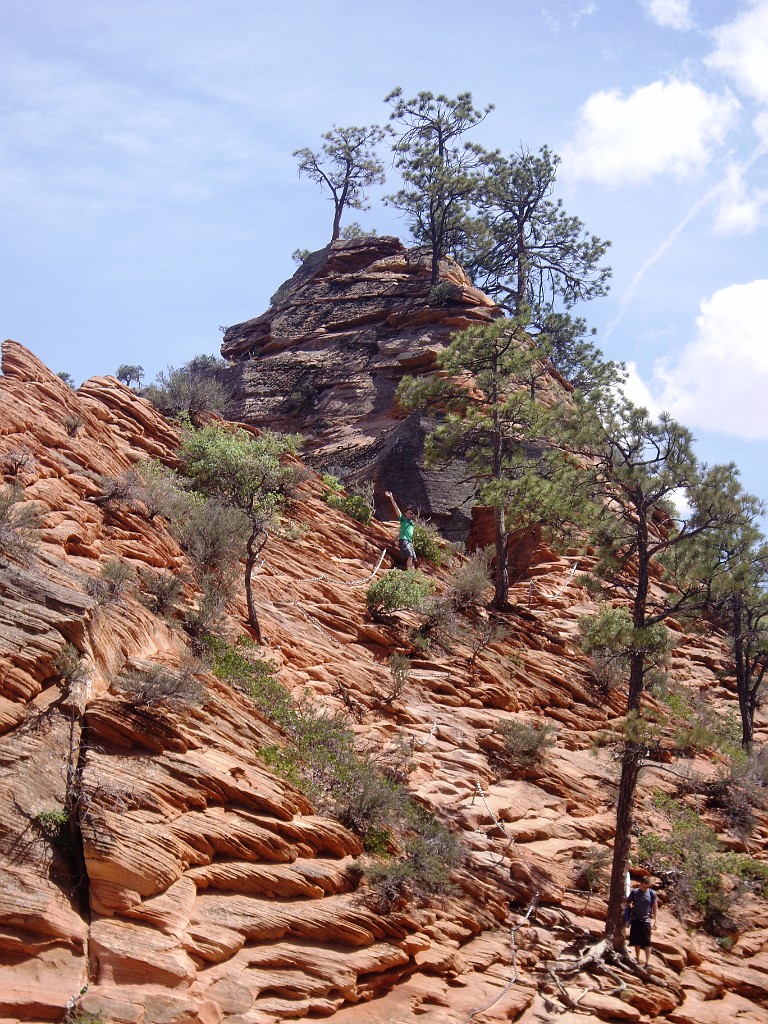 UT2009-Zion-8339