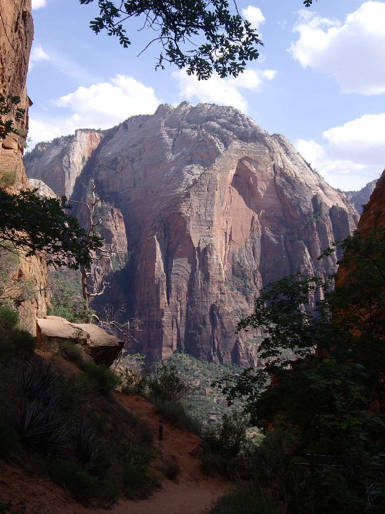 UT2009-Zion-8367