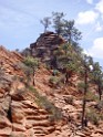 UT2009-Zion-8339 