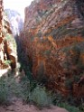 UT2009-Zion-8357 