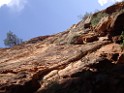 UT2009-Zion-8358 