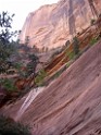 UT2009-Zion-8369 