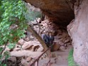 UT2009-Zion-8372 