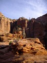 UT2009-Zion-8379 