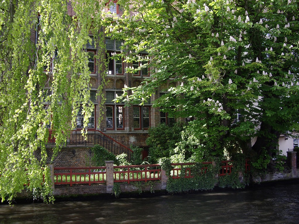 belgium2010-5521