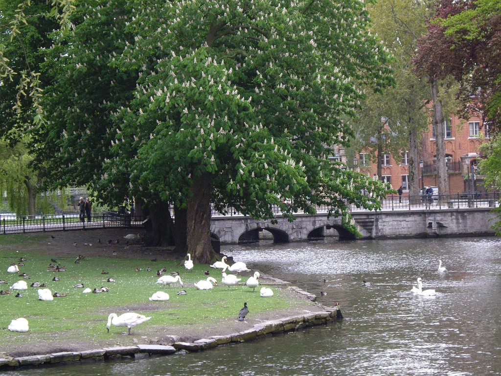 belgium2010-5809