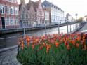 belgium2010-5614 