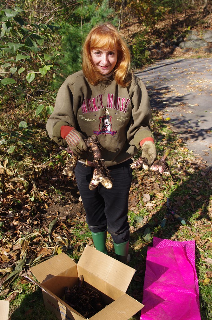 fall2011-IMGP1971