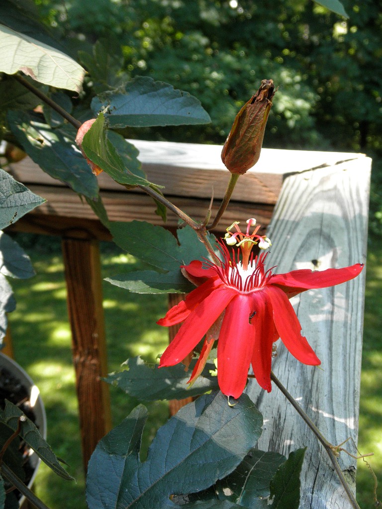 P7101850
