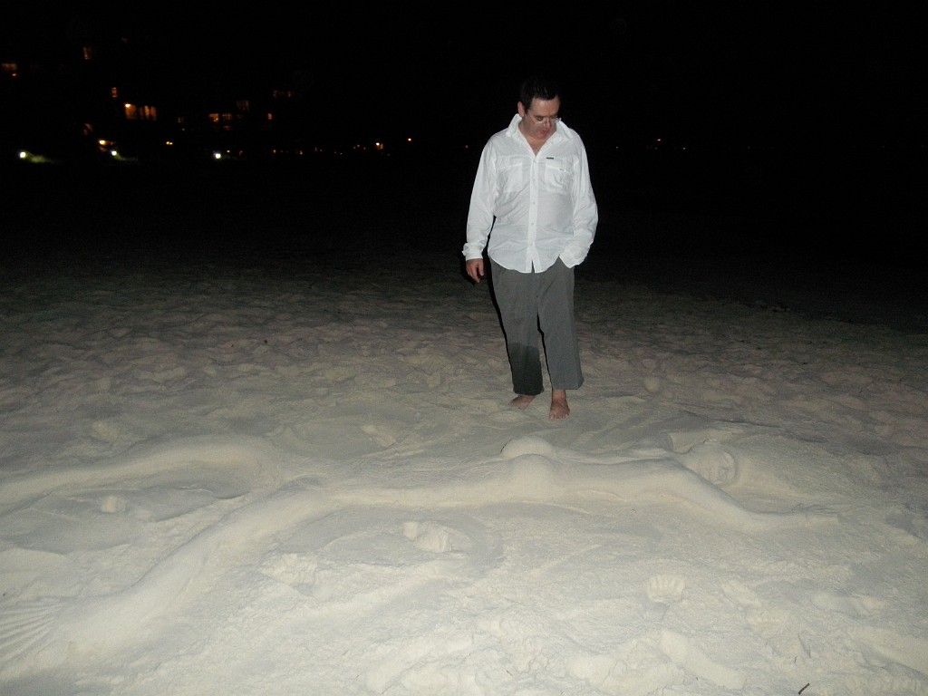 turkoise2011-1081176