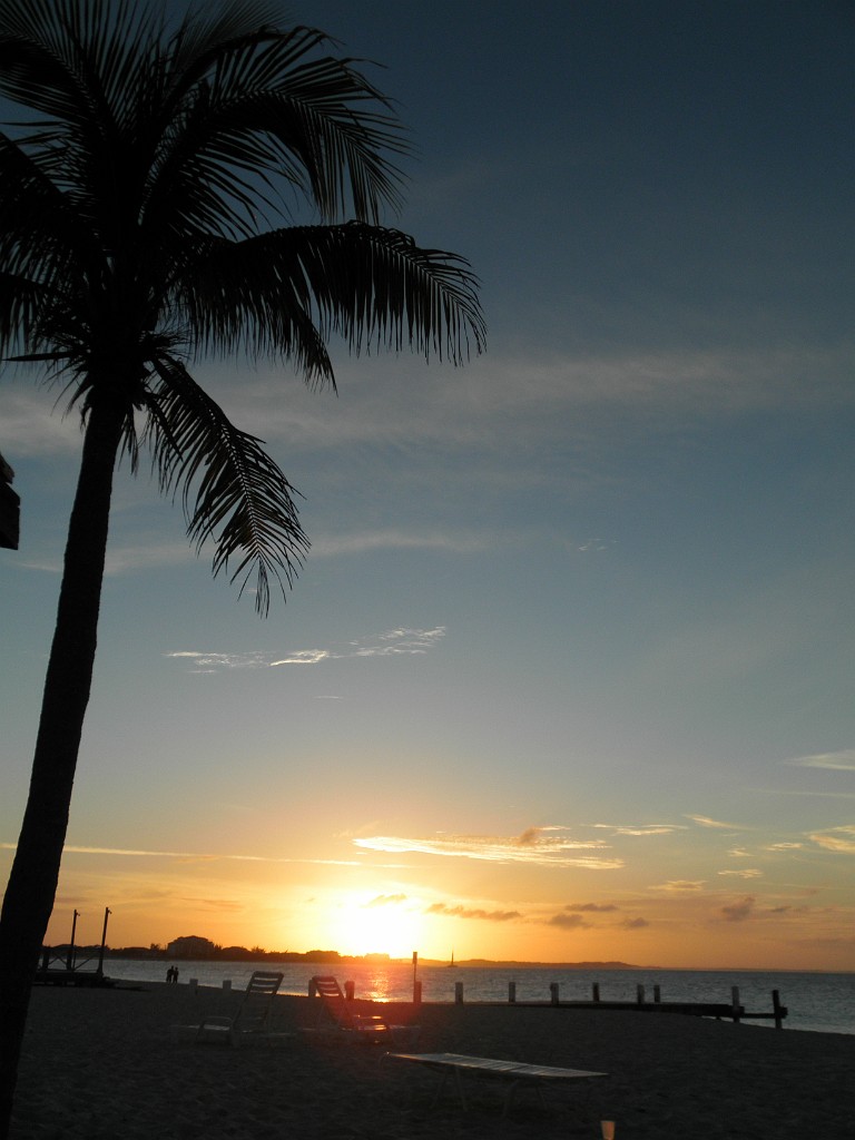 turkoise2011-1111276