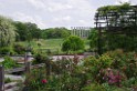 spring2012-DC-Bonsai-2328 