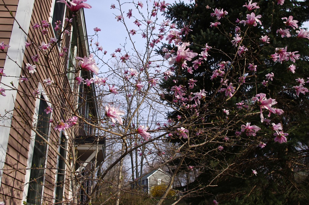 spring2012-2141