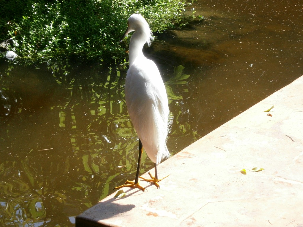 fall2013-PlayaDelCarmen-PB090004