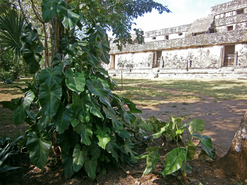 fall2013-PlayaDelCarmen-PB110070