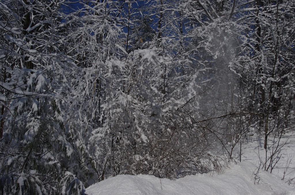 spring2013-snow-IMGP3382