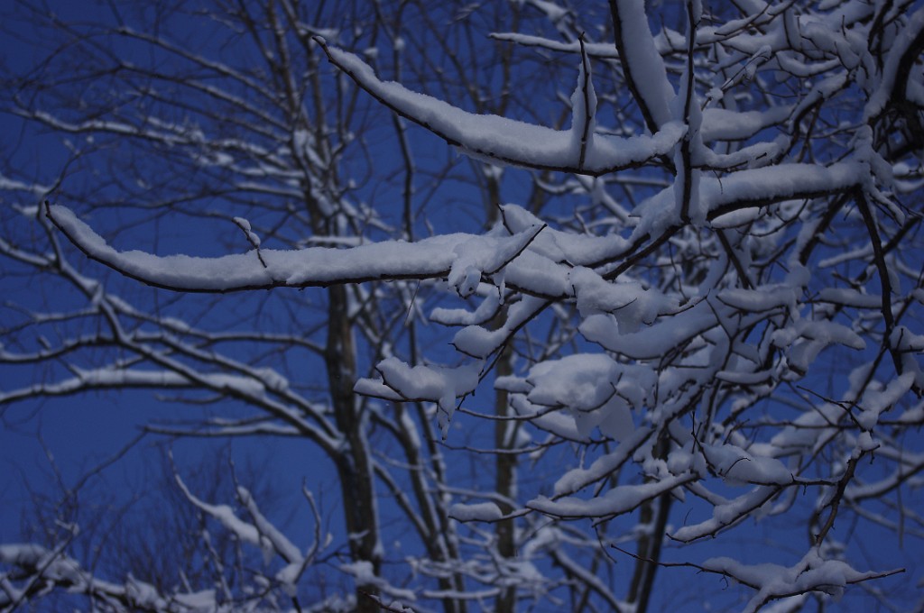 spring2013-snow-IMGP3409