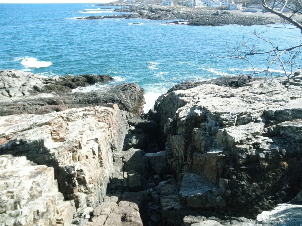 P4212569