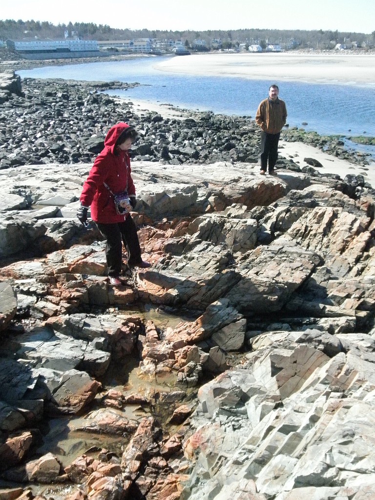 P4212584