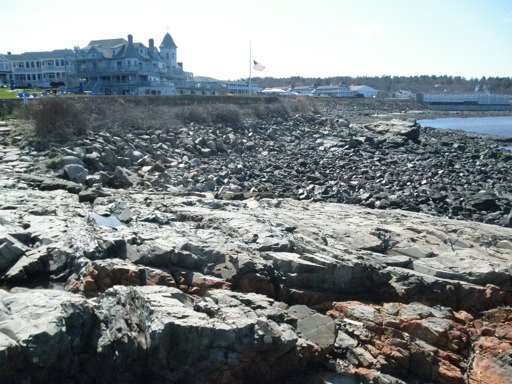P4212585