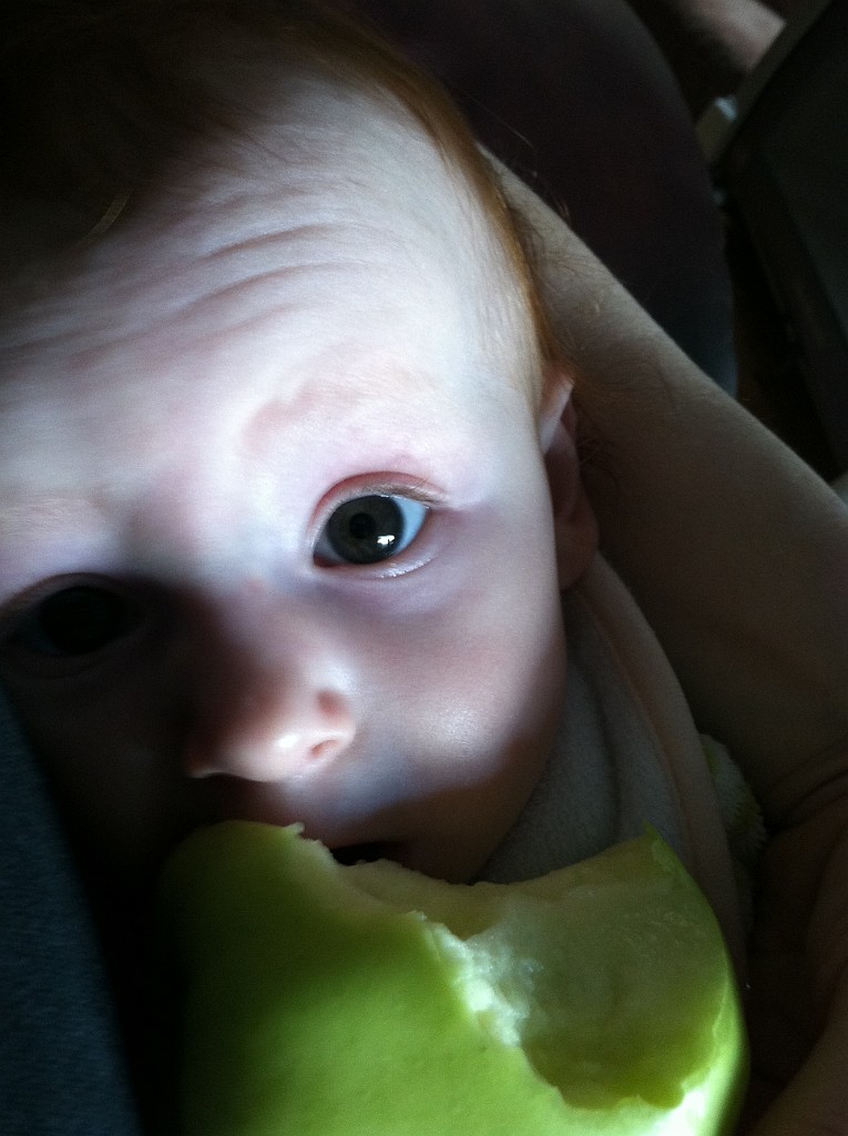 spring2013-DC-Leela_Apple