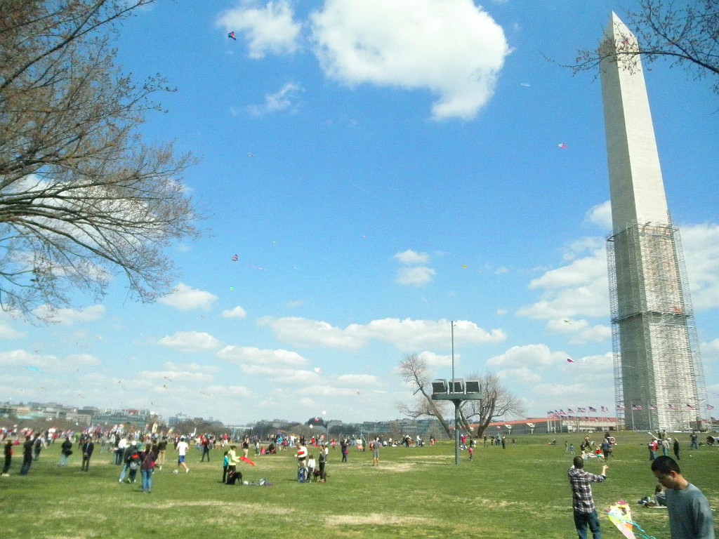 spring2013-DC-P3302536