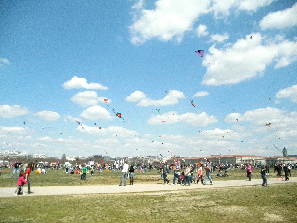 spring2013-DC-P3302549
