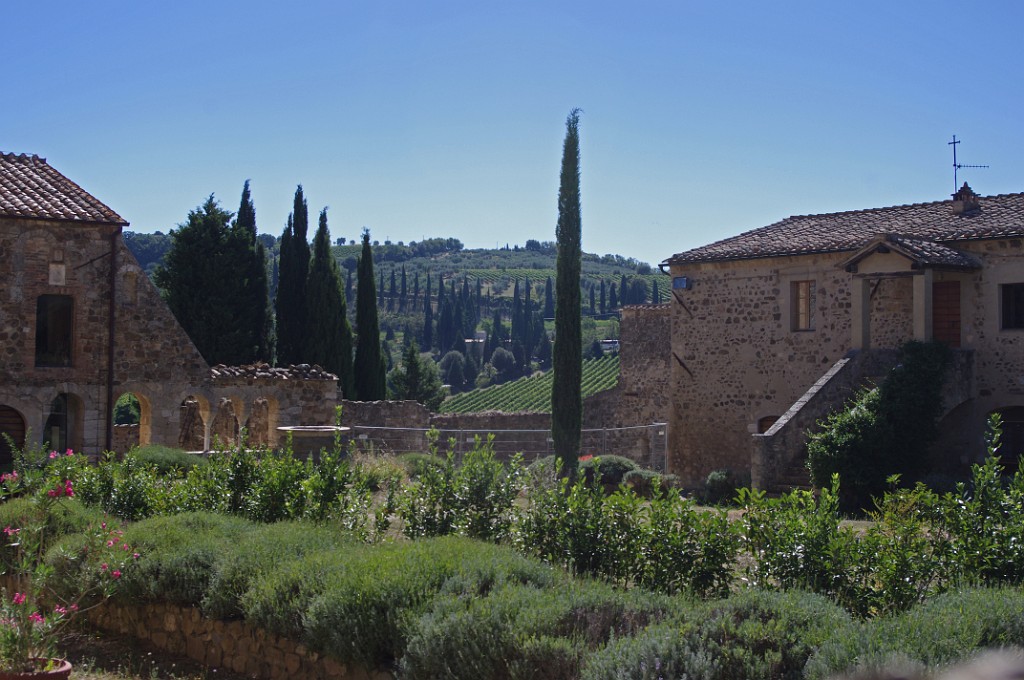 toscana2013-Montalcino-BagnoVignoni-Pienza-IMGP4445