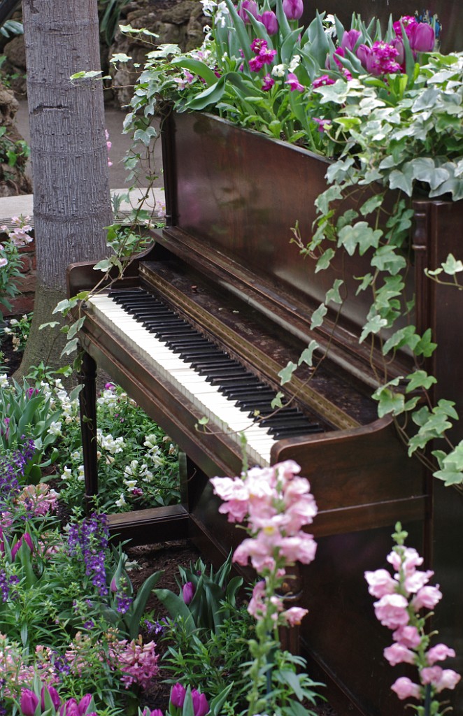 spring2014-Pittsburgh-Phipps-IMGP5788