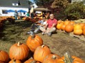 fall2016-Pipki-IMG_20161003_120029 York, ME