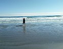 fall2016-Pipki-IMG_20161003_121738 Long Sand Beach, York ME