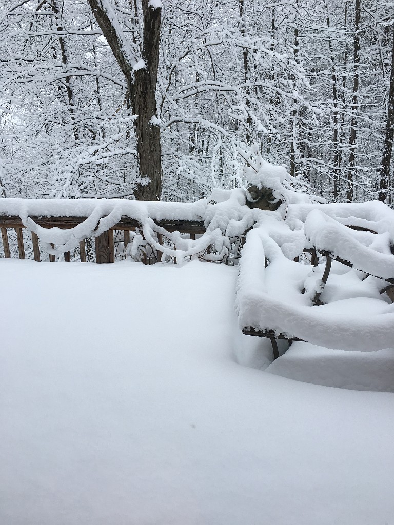 winter2017-IMG_1825