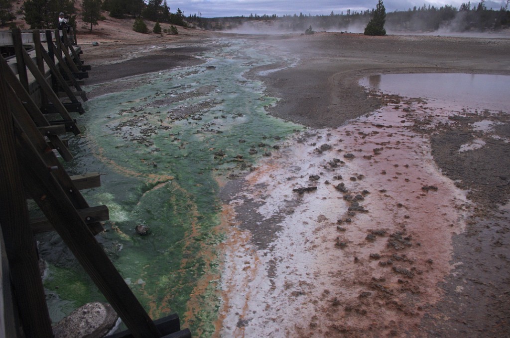 yellowstone2017-1-IMGP7370