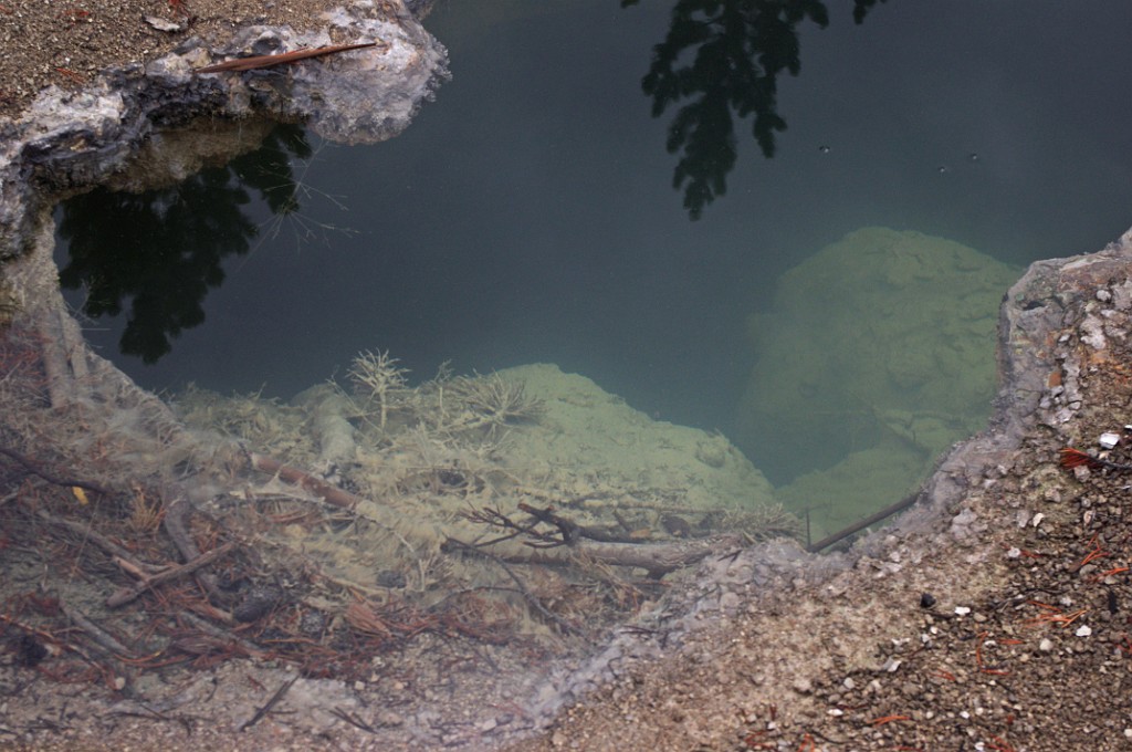 yellowstone2017-1-IMGP7385