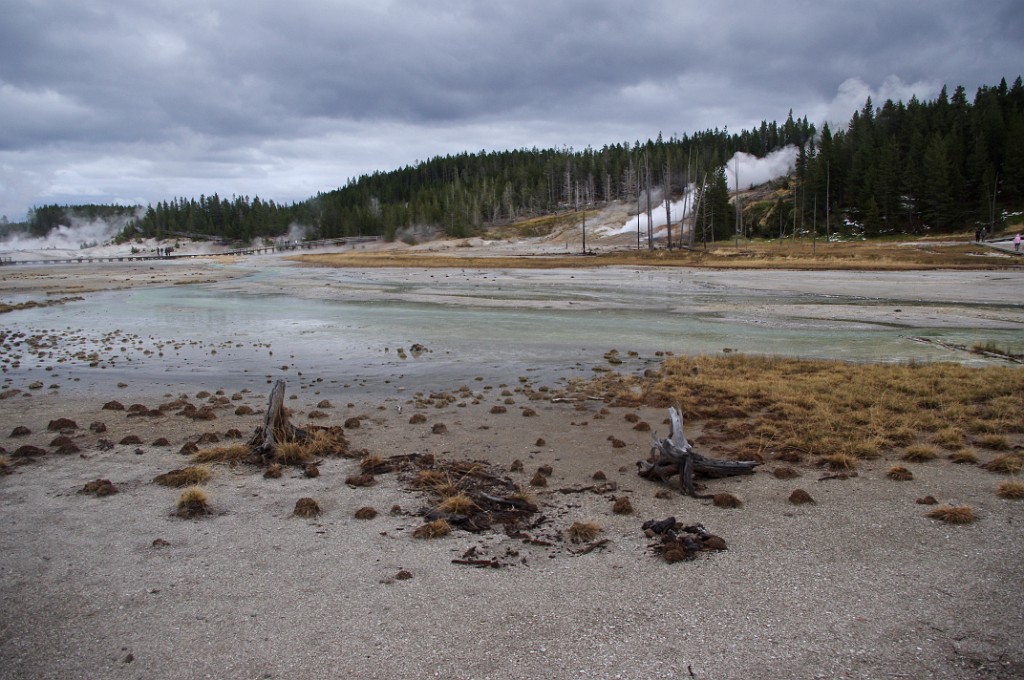 yellowstone2017-1-IMGP7393