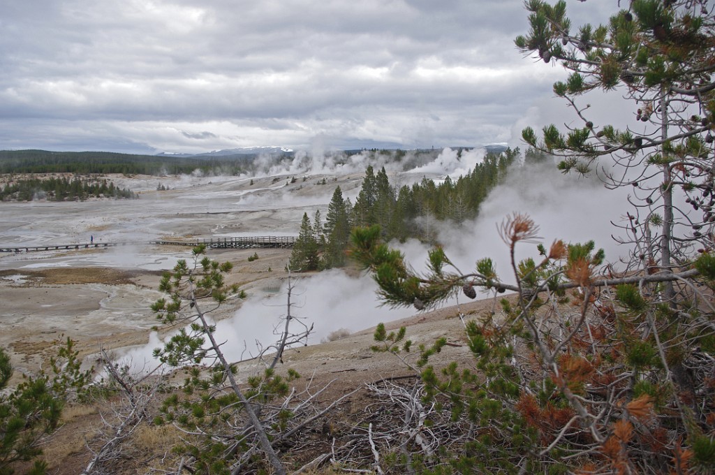 yellowstone2017-1-IMGP7409