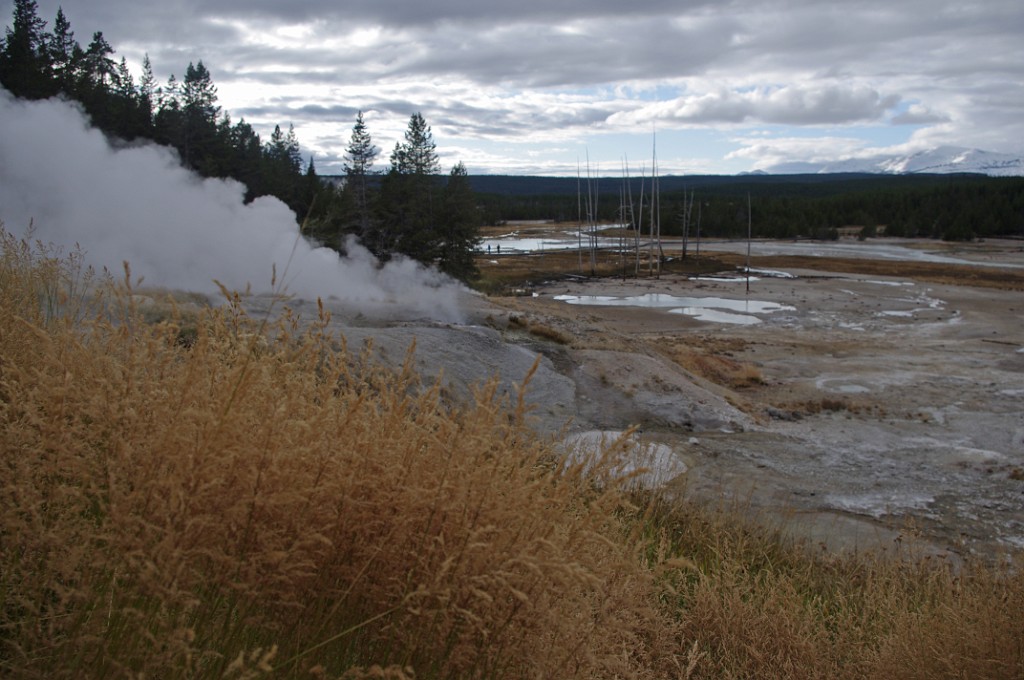 yellowstone2017-1-IMGP7440