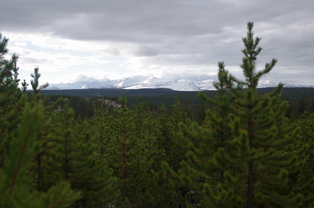 yellowstone2017-1-IMGP7449