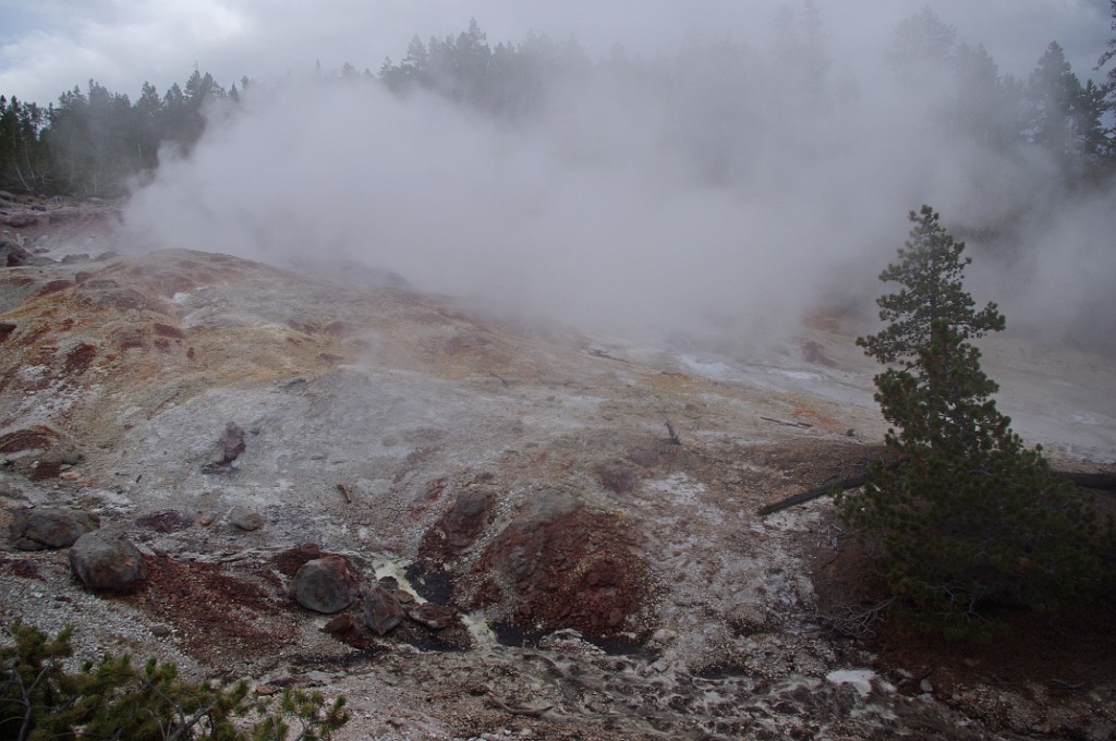 yellowstone2017-1-IMGP7455