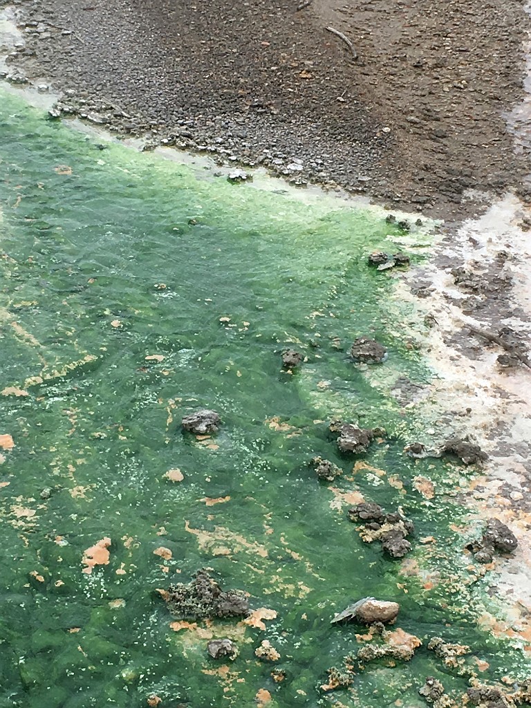 yellowstone2017-1-iphone-IMG_2809