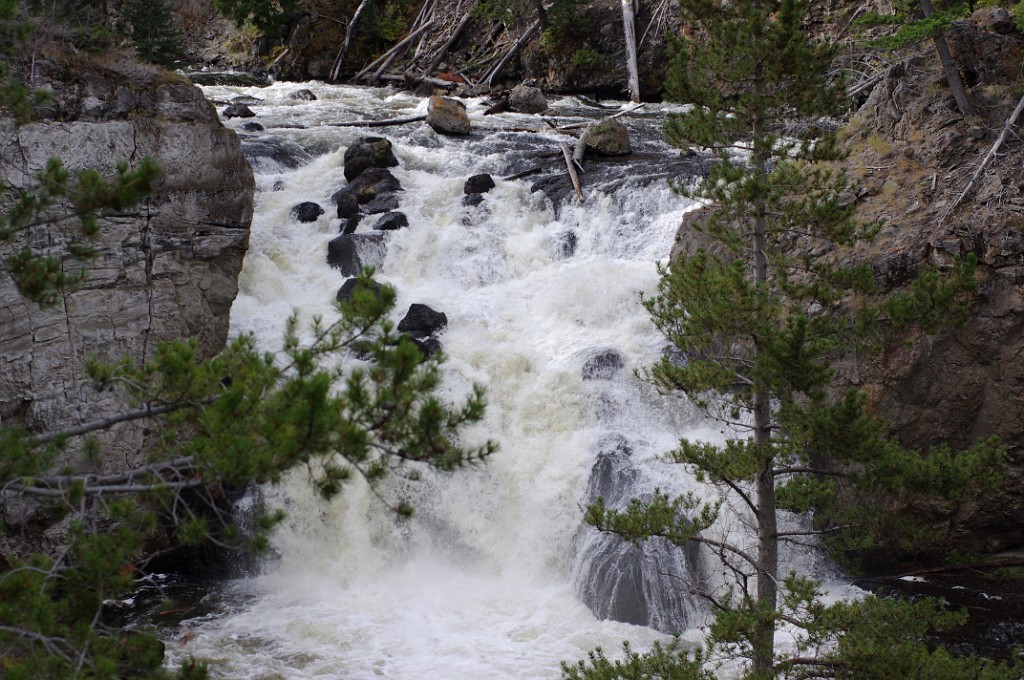 yellowstone2017-2-IMGP7516