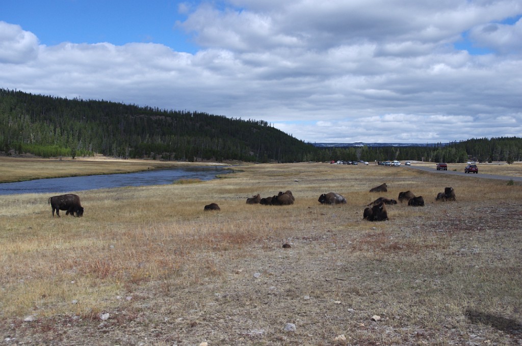 yellowstone2017-2-IMGP7553