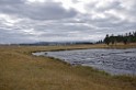 yellowstone2017-2-IMGP7549 