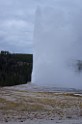 yellowstone2017-2-IMGP7588 