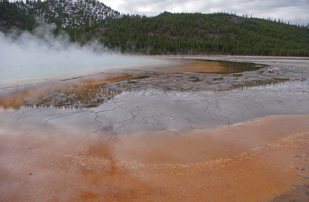 yellowstone2017-3-IMGP7849