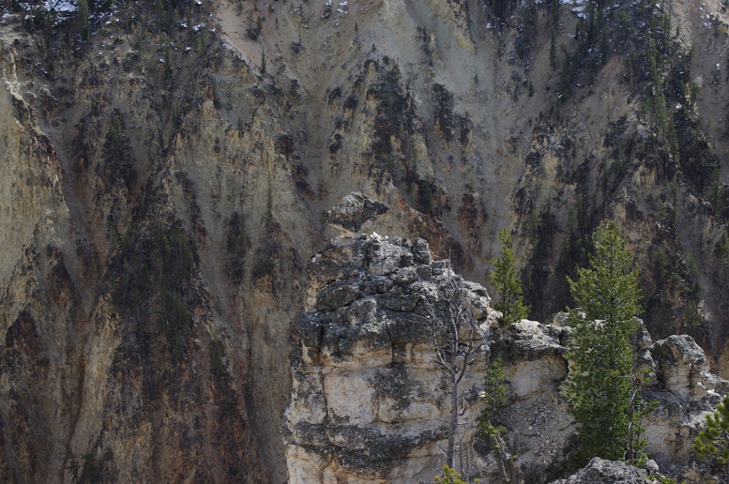 yellowstone2017-3-IMGP7970